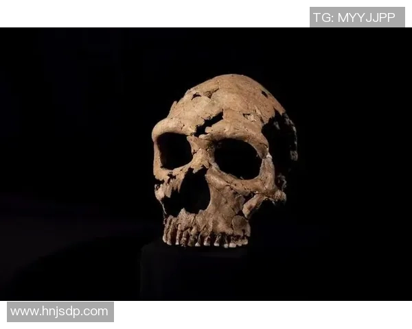 探索奥蓬达的魅力与历史揭示其在现代文化中的独特地位与影响力 探索奥蓬达的魅力与历史揭示其在现代文化中的独特地位与影响力