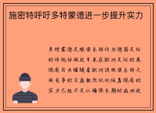 施密特呼吁多特蒙德进一步提升实力